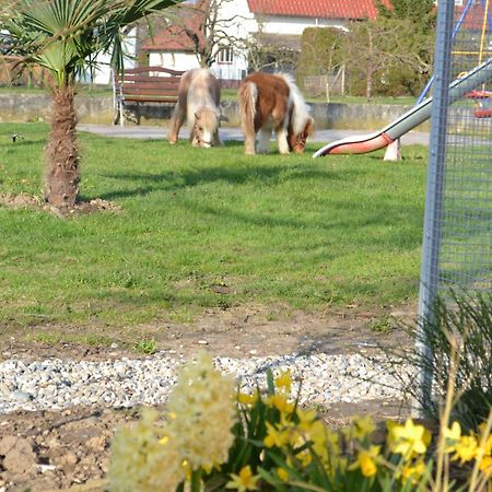 Hotel - Restaurant Hirschen - Werneths Landgasthof Beim Europa- Park Rust Rheinhausen Ngoại thất bức ảnh