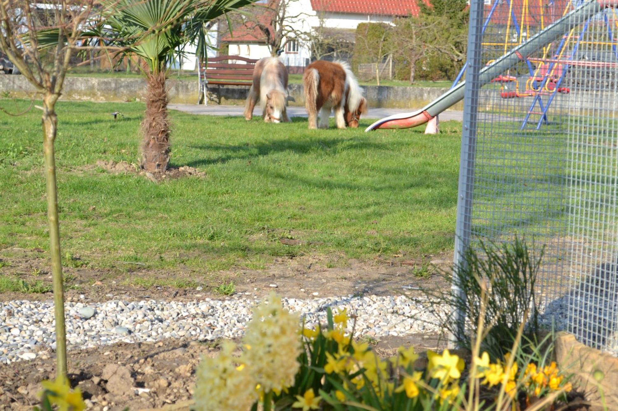 Hotel - Restaurant Hirschen - Werneths Landgasthof Beim Europa- Park Rust Rheinhausen Ngoại thất bức ảnh